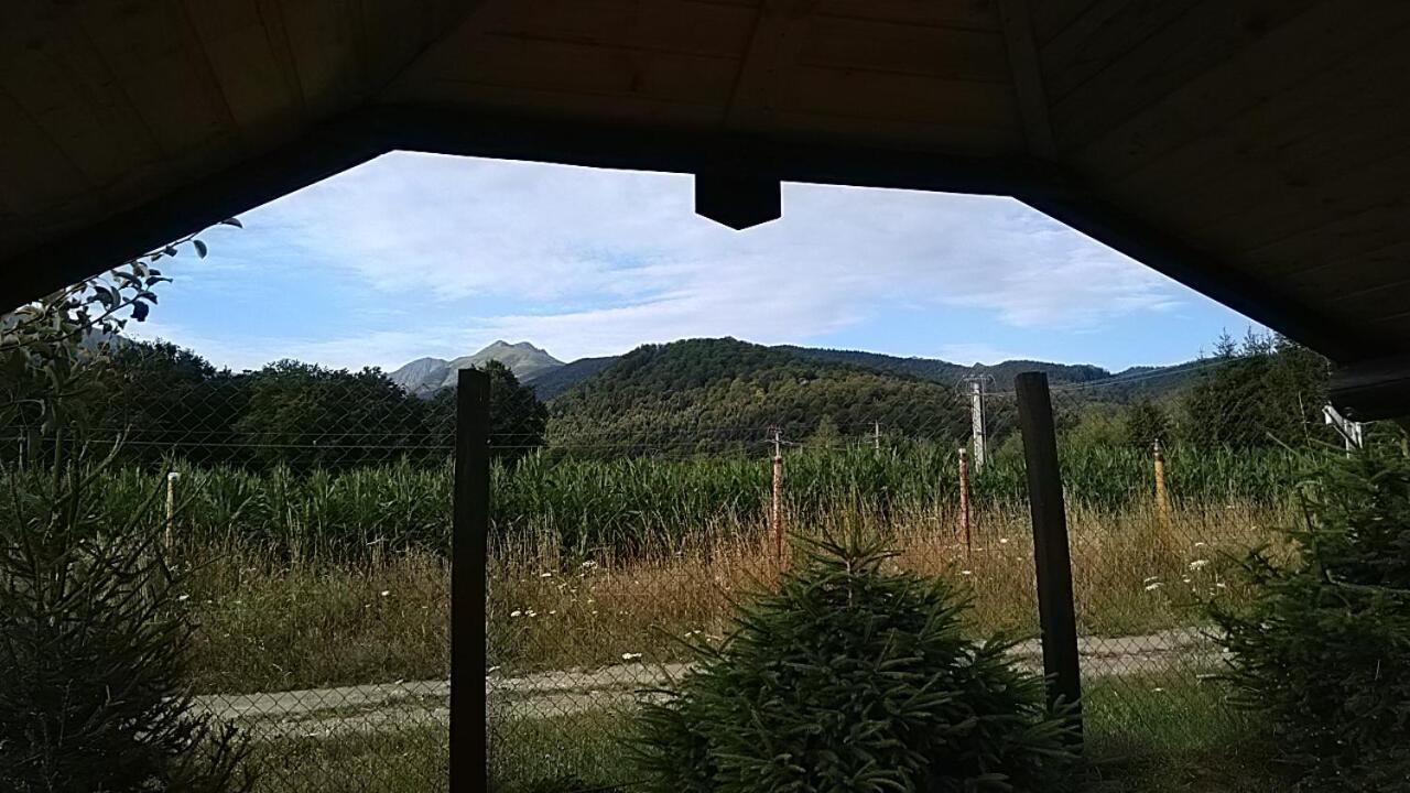 Pensiunea Maya Sîmbăta de Sus Kültér fotó