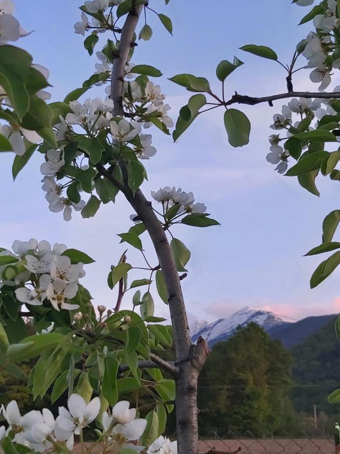 Pensiunea Maya Sîmbăta de Sus Kültér fotó