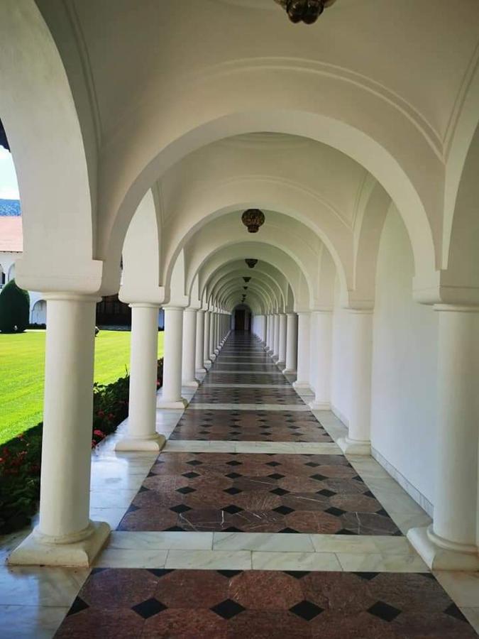 Pensiunea Maya Sîmbăta de Sus Kültér fotó