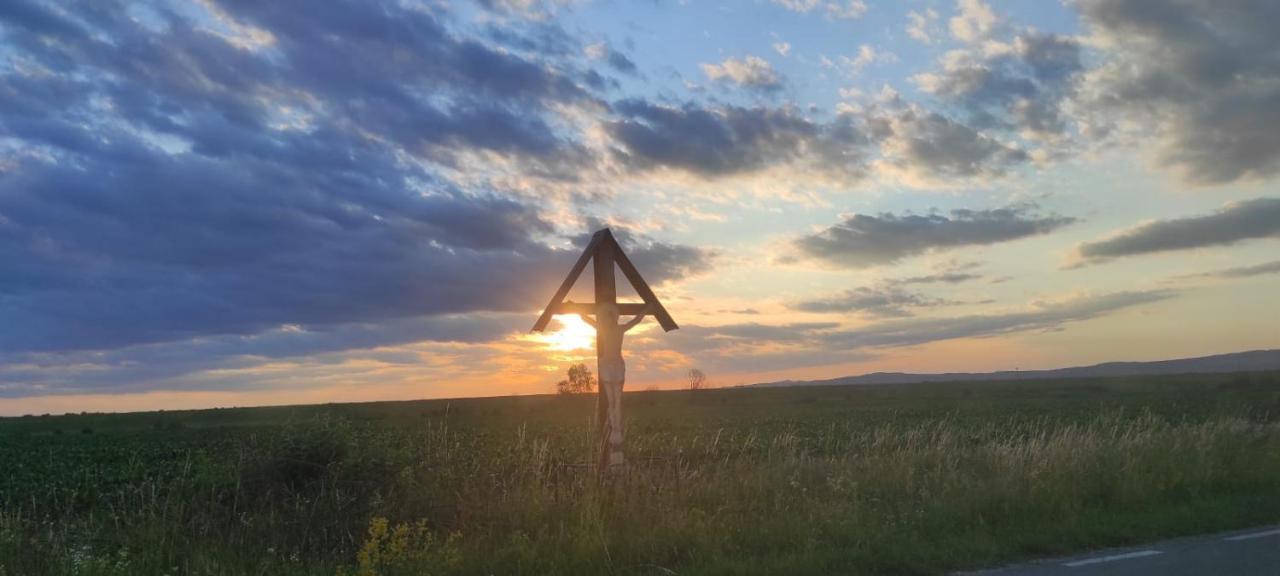 Pensiunea Maya Sîmbăta de Sus Kültér fotó